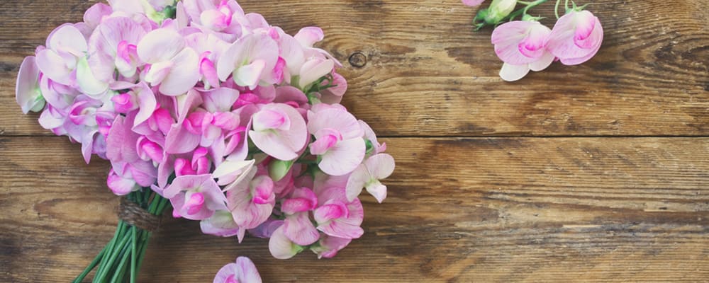 Sweet Pea Bouquet